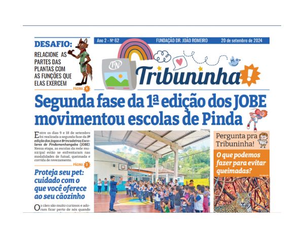 Tribuninha N° 62