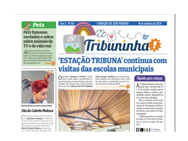 Tribuninha N° 66