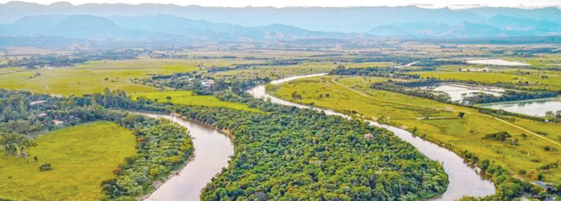 Pinda realiza 2a Conferência Municipal do Meio Ambiente na próxima terça-feira