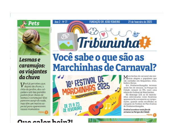 Tribuninha N° 77