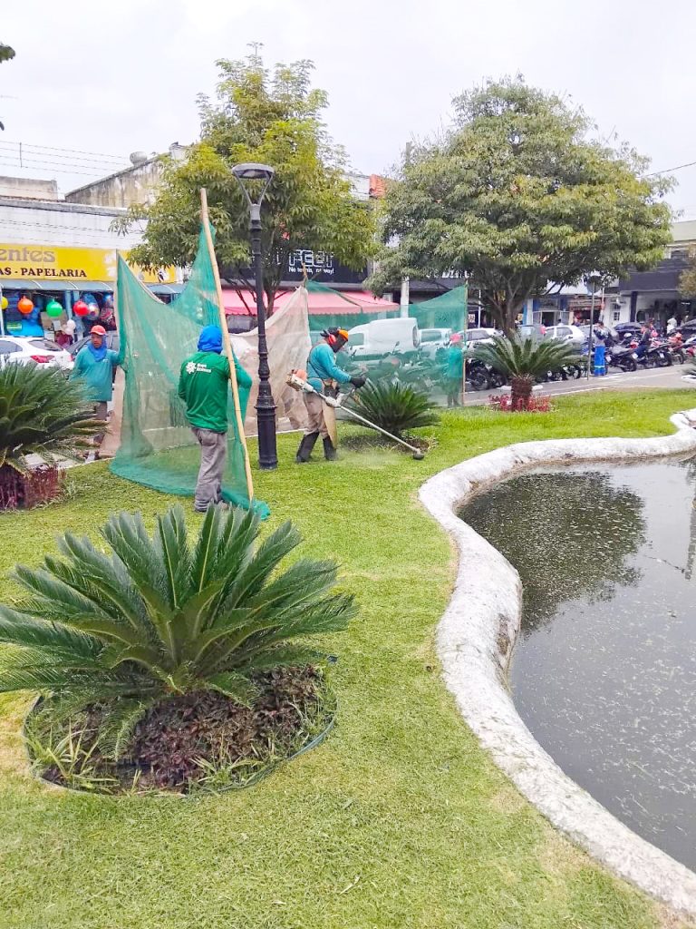 Ações de jardinagem deixam espaços públicos mais bonitos