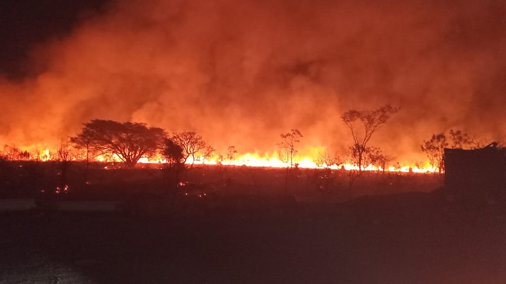 Incêndio mobiliza Corpo de Bombeiros e Defesa Civil