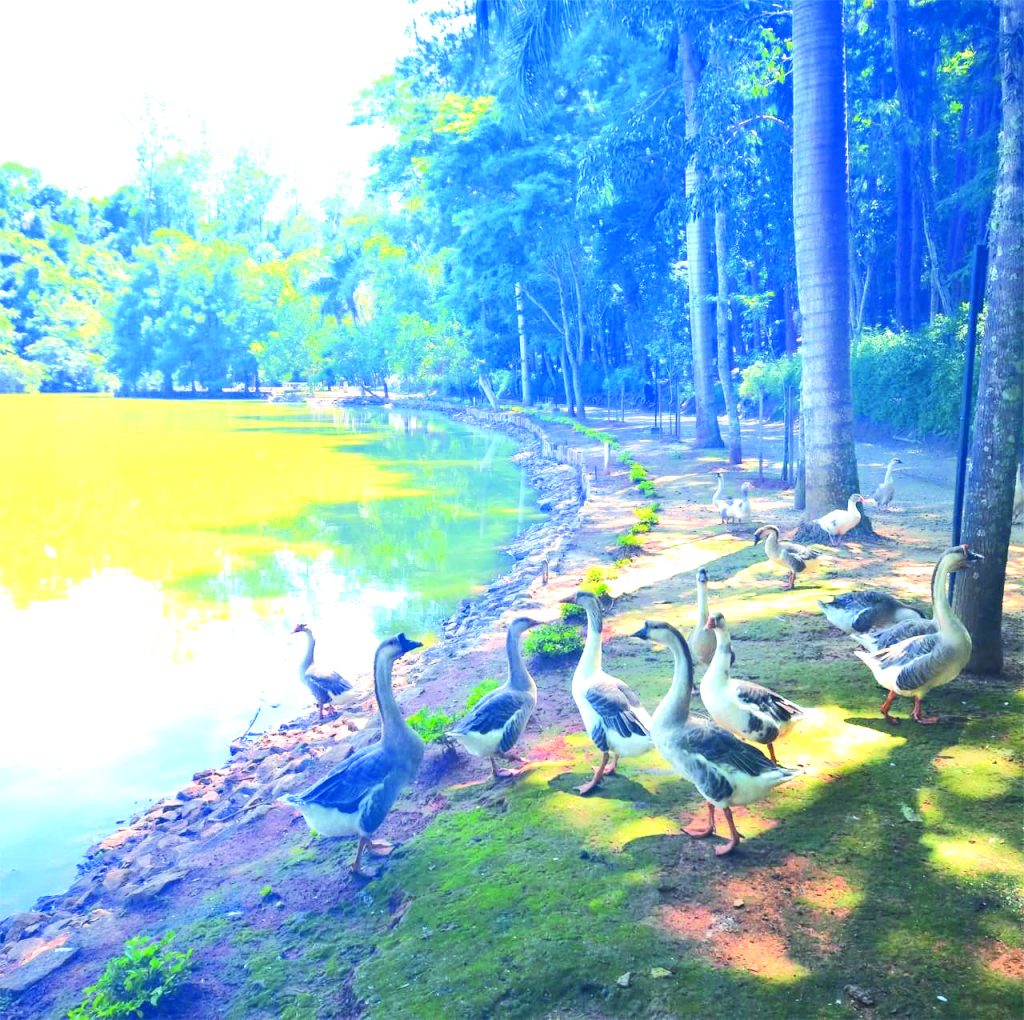 Recanto Santa Bárbara: A pausa perfeita