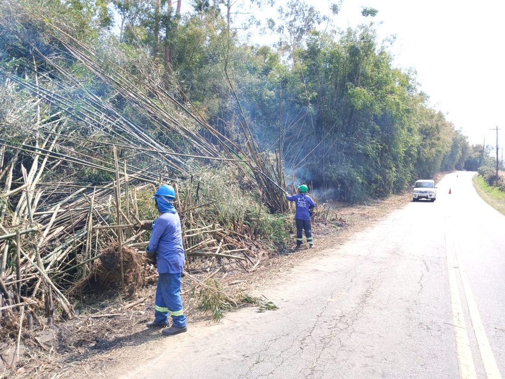 Desenvolvimento Rural reforça ações de poda e prevenção de queimadas em áreas rurais