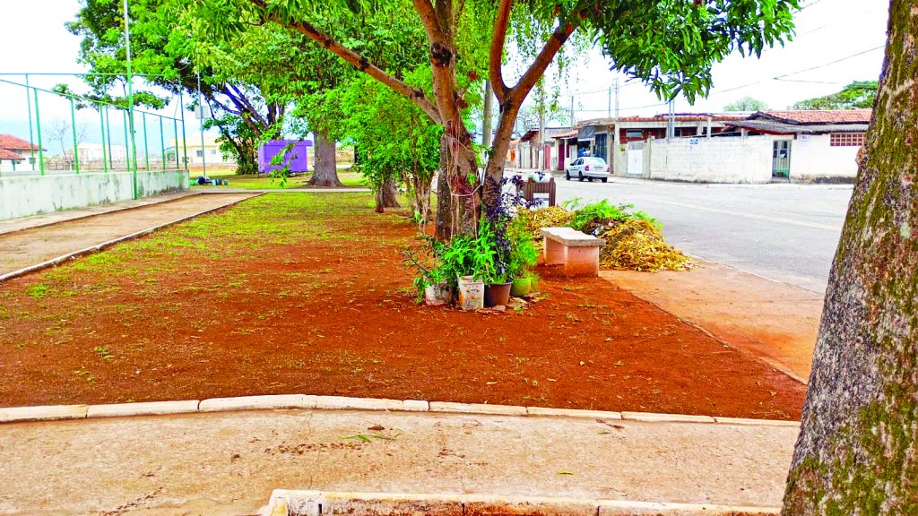 Parque das Nações, Santa Cecília e Cidade Nova recebem limpeza e revitalização