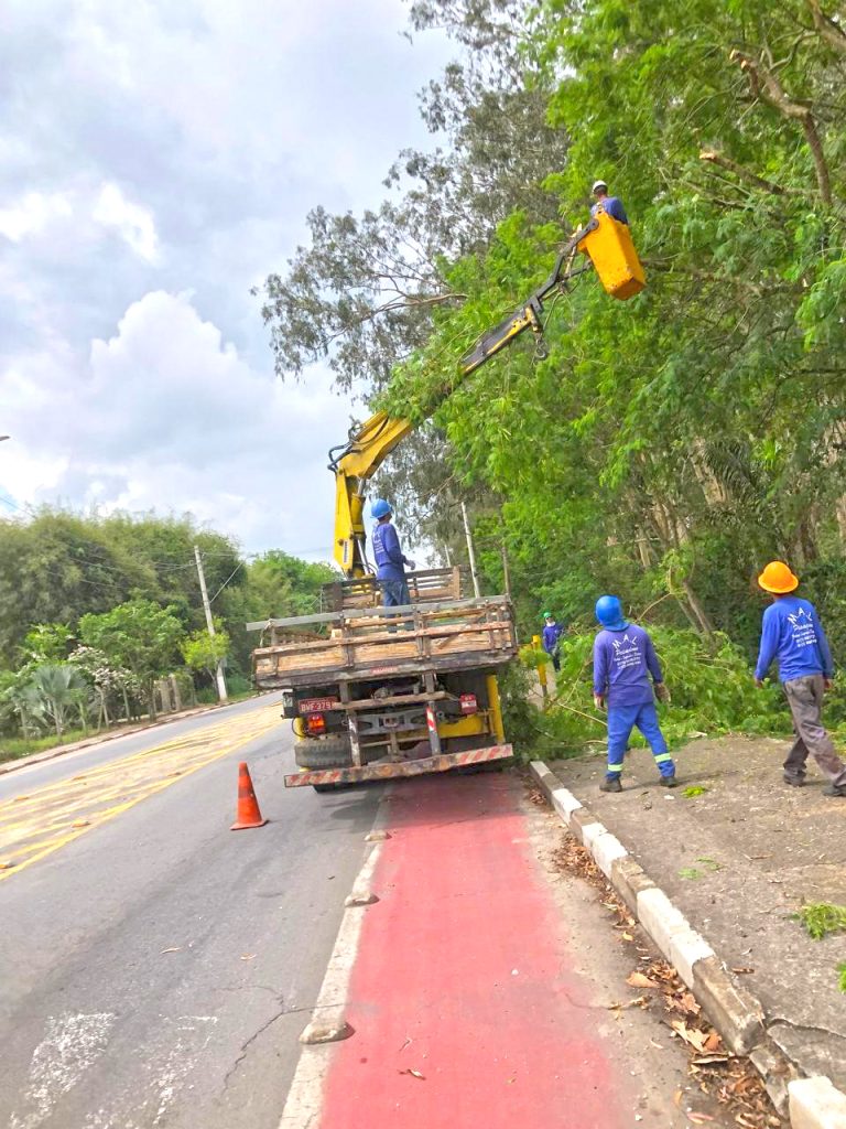 Serviço de poda preventiva reforça segurança e melhora iluminação em diversos bairros