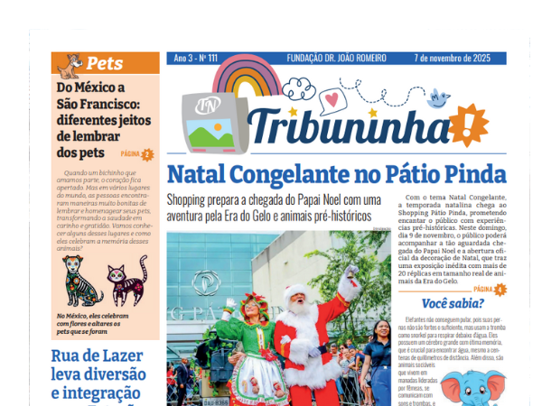 Tribuninha N° 111