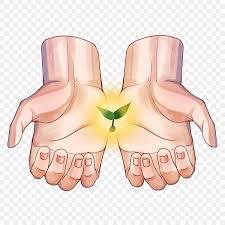 Semeando consciência