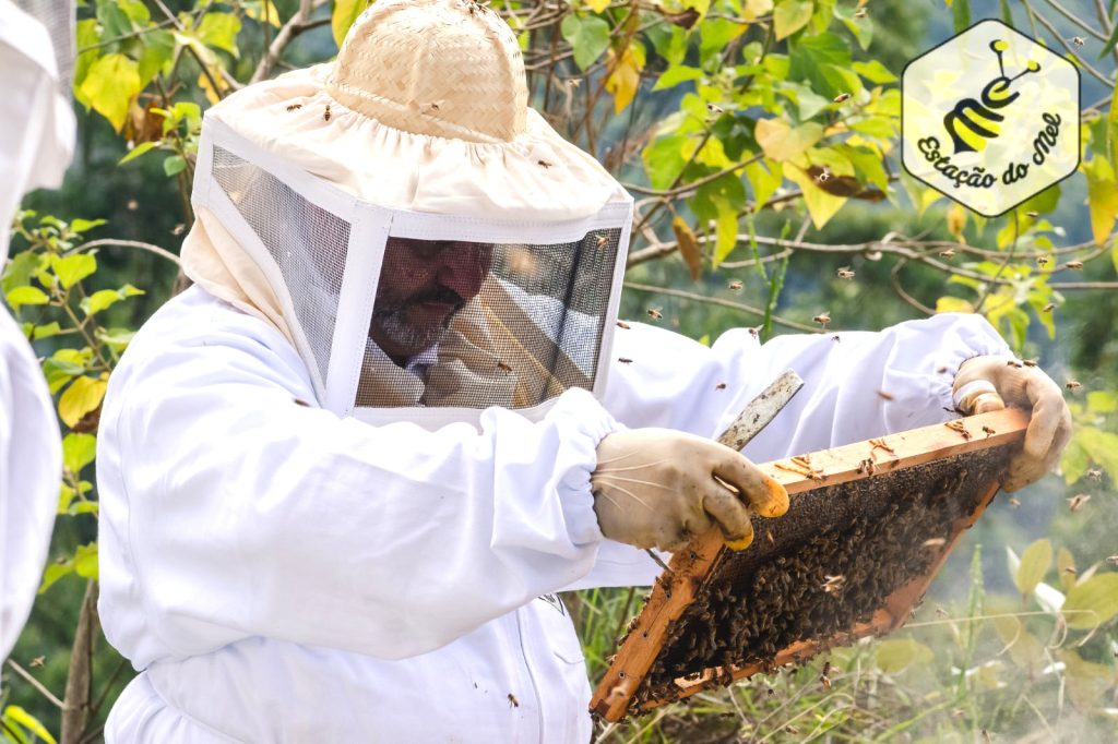 Sindicato Rural divulga agenda de cursos gratuitos para 2026