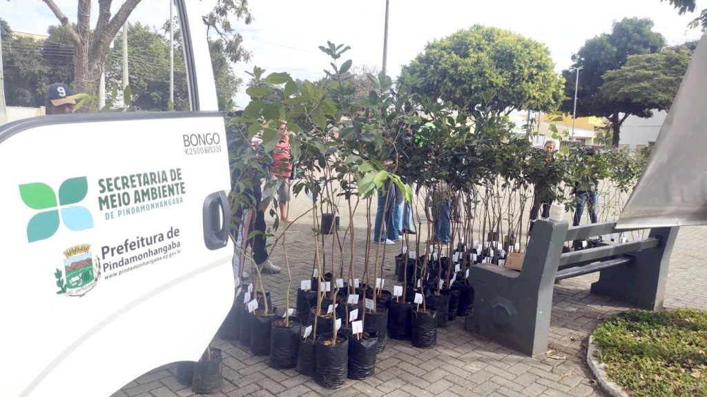 Viveiro Municipal realiza doação de mais de 7 mil mudas e reforça ações ambientais em Pindamonhangaba