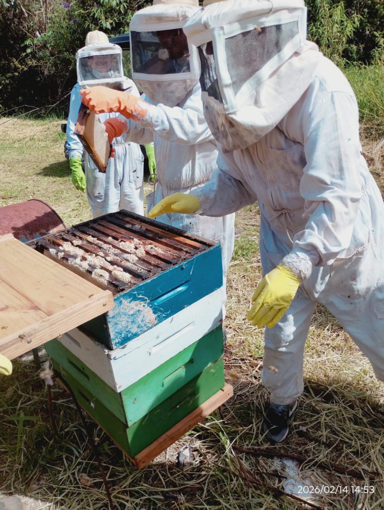 Biólogo transforma apicultura em negócio sustentável e inovador