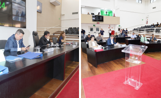 Pindamonhangaba terá ‘Programa de Controle Integrado de Mosquitos e Pragas Urbanas’, prevê Projeto de Lei aprovado pelos vereadores