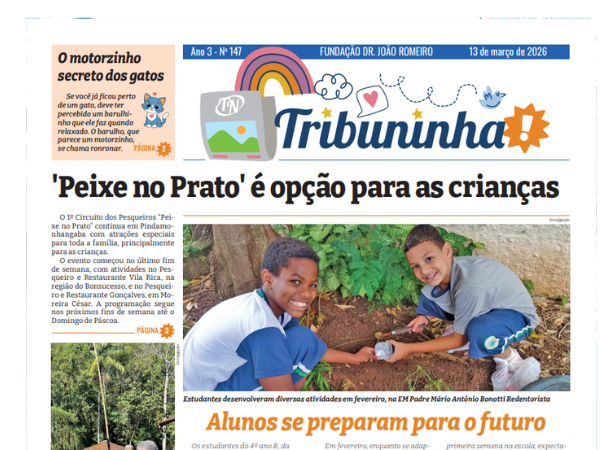 Tribuninha N° 147