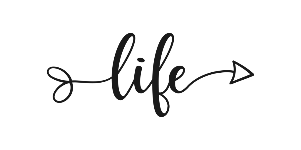 O que fazemos com o que a vida faz de nós