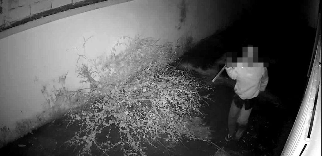 Monitoramento eletrônico detecta invasão e impede furtos em Moreira César