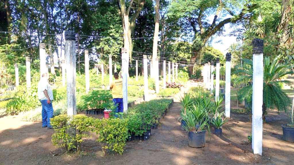 Viveiro Municipal recebe reforma estrutural e novo sistema de irrigação